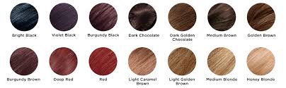 Burgundy has been her all time favorite, and i'll have to say it looked quite good on her hair! Amazon Com Revlon Colorsilk Luminista Haircolor Dark Chocolate Brown 1 Count Beauty