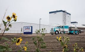 585 likes · 15 were here. Dairy Farmers Of America Takes 2017 Dairy Processor Of The Year Honors 2017 12 04 Dairy Foods