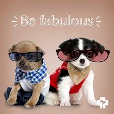 We will close at 4pm on thanksgiving eve and remain closed through thanksgiving day so our associates can be with the ones they love. Banfield Pet Hospital Home Facebook