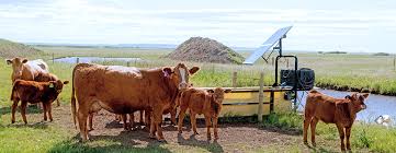 Agribusiness Farmers And Ranchers Agriculture Natural Resources