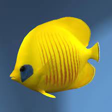 3dsmax bluecheek butterfly fish butterfly fish fish marine fish