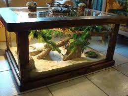 Terrarium Table Kind Of Awesome The Little Guy Would Always Be Front And Center 3 Bearded Dragon Terrarium Aquarium Coffee Table Bearded Dragon