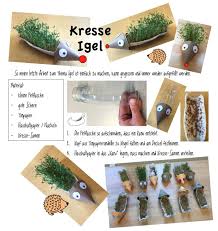 Kresseigel Pflanzen Mit Kindern Igel Kresse Anpflanzen