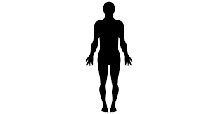 Download Standing Human Body Silhouette Free People Icons