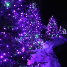 Check spelling or type a new query. Buy Lyhope Solar Halloween Lights 72ft 200 Led 8 Modes Solar Christmas Lights Waterproof Decorative Fairy Lights For Garden Patio Home Party Holiday Outdoor Decor Purple 2 Pack Online In Indonesia B07nsyh5d2