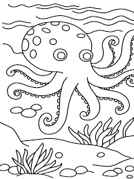 With this printable coloring page, you'll be able to let your. Octopus Coloring Page For Kids