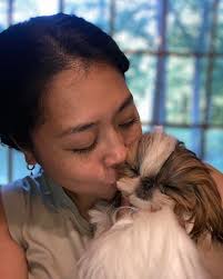 Cocktail Shih Tzu added a new photo.