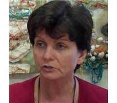 Under-fire children's services boss leaves council