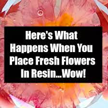 Can you put faux flowers in resin. Here S What Happens When You Place Fresh Flowers In Resin Wow