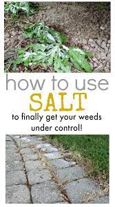 Among the many techniques on how to get rid of weeds you may have in mind, none beats using boiled water. How To Use Salt To Kill Weeds The Creek Line House