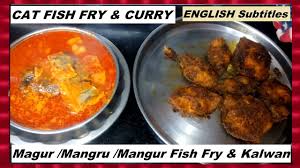 Cat Fish Magur Mangru Mangur Fish Fry Curry Marathi Recipe English Subtitles Youtube