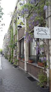 geveltuin van leefschool de dageraad in antwerpen let wel op met de keuze van blauwe regen voor je gevel blauwe regen balkon planten bloemplanten tuinpotten