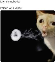 Literally Nobody Person Who Vapes Nobody Funny Pictures Funny Memes Best Memes