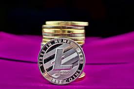 Higher prices for bitcoin means increased demand for mining machines and a bigger premium for those machines. Litecoin S Price Reaches New All Time High Of 56 As Competitors Lose Momentum The Merkle Bitcoin Online Networking All About Time