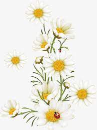 Jeden tag werden tausende neue, hochwertige bilder hinzugefügt. Flowers Painted Pattern Painted Flowers Vector Hand Painted Vector Flowers Vector Background Vector Material Vecto Daisy Painting Flower Painting Daisy Drawing
