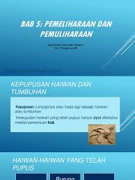Membahayakan penduduk jika haiwan yang kehilangan tempat perlindungan akan menyerang pemuliharaan. Slide Bab 5 Pemeliharaan Dan Pemuliharaan