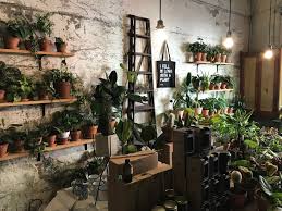 Keranjang penyimpanan jerami buatan tangan nordic dalam ruangan luar ruangan pot bunga wadah tanaman rumah ruang tamu dekorasi kamar tidur. 5 Pot Tanaman Hias Bernilai Seni Tinggi