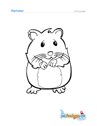 6 Baby Hamster Coloring Pages Hamster Huisdier Kleurplaten