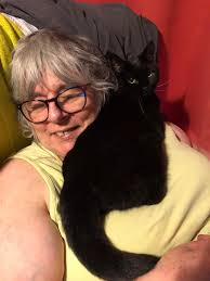 Bengal Cats' Favorite Relaxation Spots