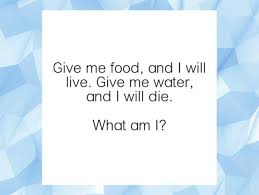 12 Perfect Riddles That Will Completely Break Your Head Riddles Jokes And Riddles Funny Quotes