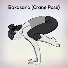 Free for commercial use high quality images.i prefer to refer to it as the crow as the the beautiful crow courtesy of my flickr friend shaefer : Bakasana Crane Pose Steps Benefits Precautions Nexoye