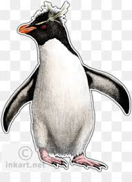 It's easy when you know how! Animal Cartoon