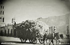 Carreta Con Rastrojo En Sombrerete Zacatecas Mexico Fotos Antiguas Fotos Fotografia