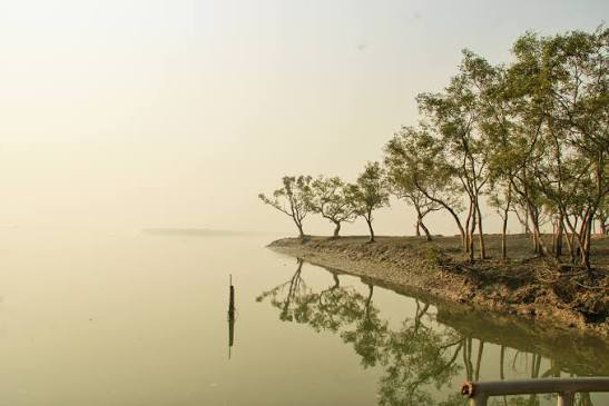 শ্যামনগর উপজেলা - উইকিপিডিয়া