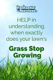 Help In Understanding When Exactly Does Your Lawn S Grass Stop Growing Winter Lawn Care Lawn Lawn Care