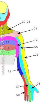 Pin On Nursing