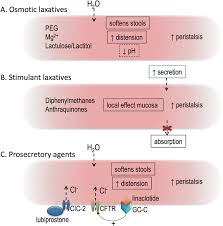 Stimulant laxatives relieve constipation by triggering the intestines to contract and push out stool. Functional Constipation In Children Springerlink