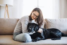 Think of it as valentine's day for your dog, cat, bird, or whatever else has caught your heart on this day. National Love Your Pet Day How To Celebrate It Tractive Blog