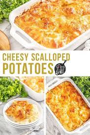 Cheesy Scalloped Potatoes Recipe Scalloped Potatoes Scalloped Potatoes Cheesy Easy Thanksgiving Recipes