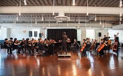 Sinfonietta Concert