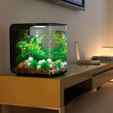 Biorb Flow Aquarium Aquarium Aquarium Fish Betta Fish Tank