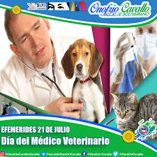 Maybe you would like to learn more about one of these? Onofriocavalloalcalde S Tweet En Venezuela El Dia Nacional Del Medico Veterinario Se Celebra Cada 21jul Asi Fue Determinado Durante El I Congreso De Medicos Veterinarios En El Ano De 1946 Reconocemos La