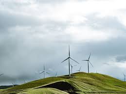 Porno pena torres erome with an endless array of fantasies,