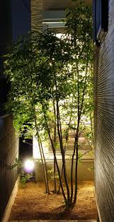 中庭 外構 夜景 植栽 リビングから見える植栽 植物のある暮らし 外観 サイディング ライトアップ 工務店 純工房 中庭のある暮らし house 施工事例 間取り 明るい家 光の取り込み方 採光 サッシ デザイン エクステリア 中庭のある家 家 外観