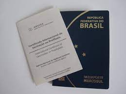 Além dele, também o profissional de saúde poderá visualizar o certificado. Vacinas E Certificado De Vacinacao Para Orlando 2021 Dicas Imperdiveis