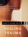Healing Trauma: Levine, Peter A: 9781591796589: Amazon.com: Books