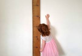 wooden height chart ruler on rimu plain or personalised felt