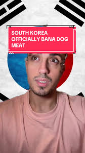 Forbidden Items in South Korea