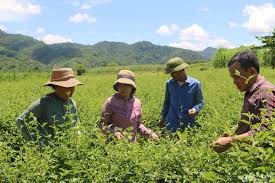 Tự hào thôn mang tên ngày Quốc khánh