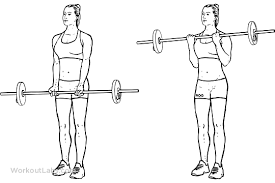 Decline Bench Crunches Sit Ups Barbell Curl Barbell Row Upright Barbell Row