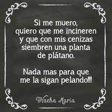 Pin By Paola Uribe On Un Poco De Humor Humor Person Memes