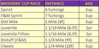 breeders cup 2014 navigating the santa anita dirt track