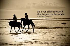 Famous Quotes Wisnton Churchill Horses Horse Quotes Horse Love Beautiful Horses Photography