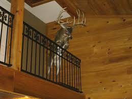 If I Only Had A Railing In The House Taxidermy Mounts Deer Mounts Taxidermy