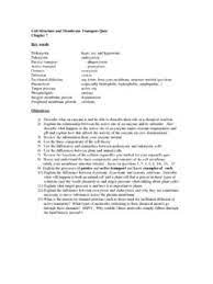 E = exon and i = intron. Chapter 8 From Dna To Proteins Weebly Chapter 8 From Dna To Proteins Weebly Pdf Pdf4pro