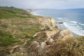 There are numerous pine forest groves, with hiking trails leading down the cliffs to tide pools & beautiful beaches. Hiking Razor Point And Beach Trail Loop In Torrey Pines State Reserve California